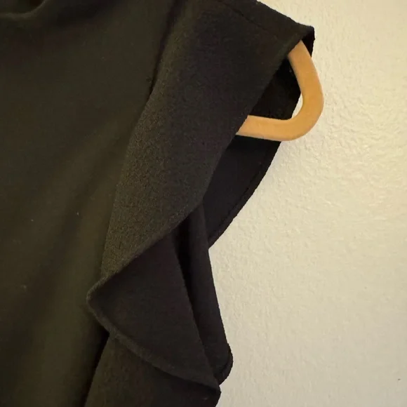 Black halo ruffle sleeve sheath dress. - Picture 3 of 6